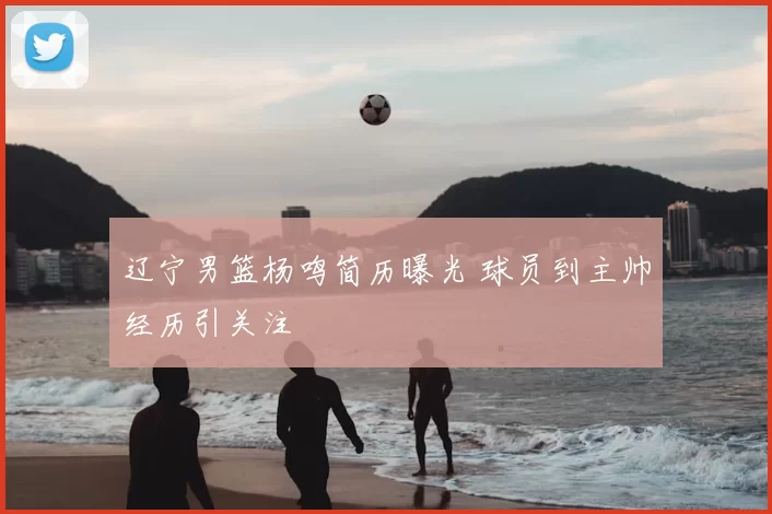 辽宁男篮杨鸣简历曝光 球员到主帅经历引关注