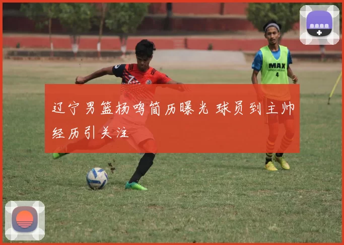 辽宁男篮杨鸣简历曝光 球员到主帅经历引关注